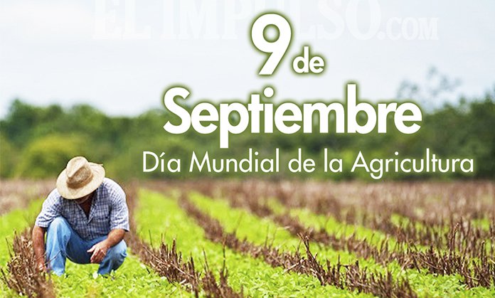 D A Mundial De La Agricultura Cadena Nueve Diario Digital