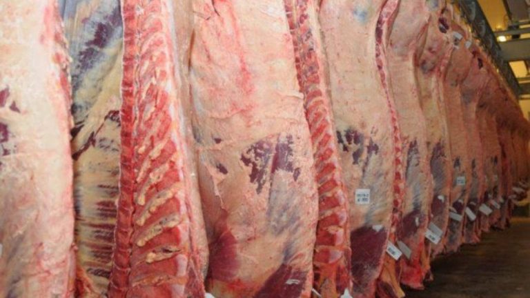 Argentina solo exportará el 50% de carne