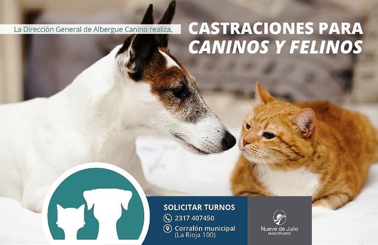 Continúan las castraciones de mascotas