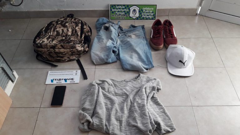 Entró en una casa, le pegó a la dueña, le robó un celular y ahora quedó preso