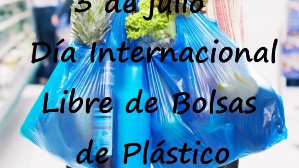 Día Internacional Libre De Bolsas De Plástico Cadena Nueve Diario Digital 3125