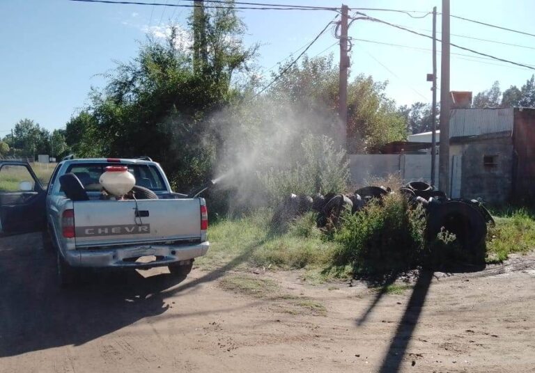 Se fumiga en parques y paseos públicos