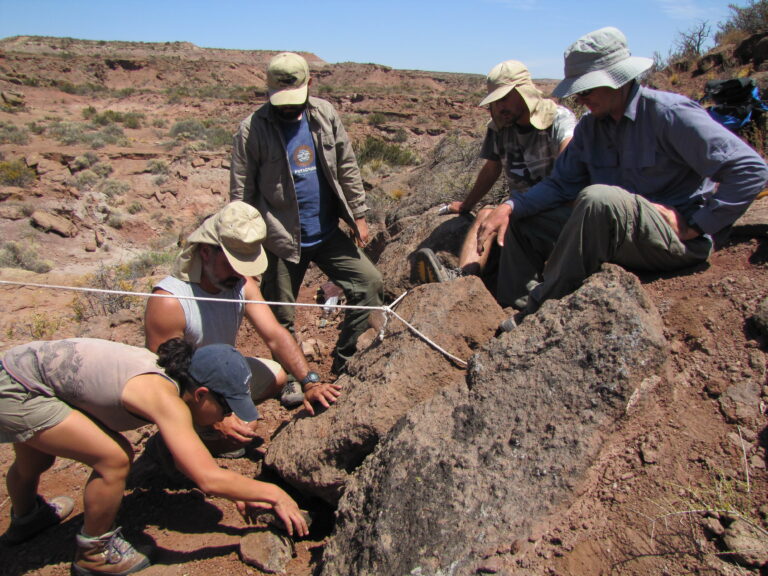 Una “estrella” más al álbum paleontológico: descubren un dinosaurio herbívoro de 93 millones de años