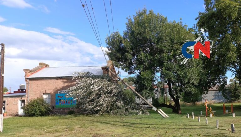 En Morea una tormenta fuerte y breve ocasionó caída de arboles y corte de luz