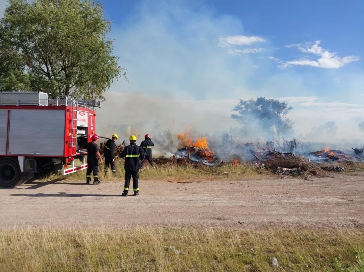 Toneladas de leña fueron reducidas a ceniza y se investiga la inencionalidad