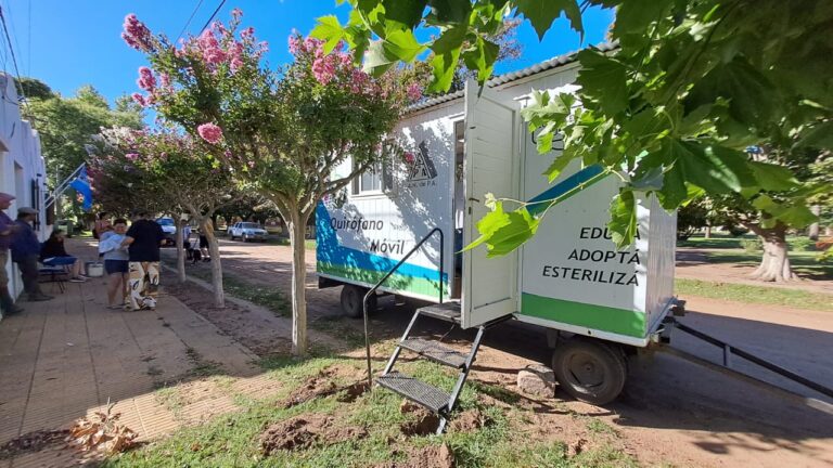 Se castró en La Niña a las mascotas de la localidad