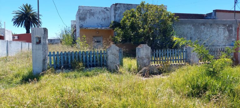 Vecinos de Facundo Quiroga preocupados por casas abandonadas con pastos altos