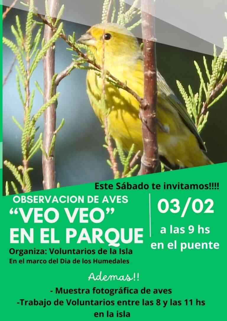 Este sábado observaciones de aves: “Veo Veo en el Parque”