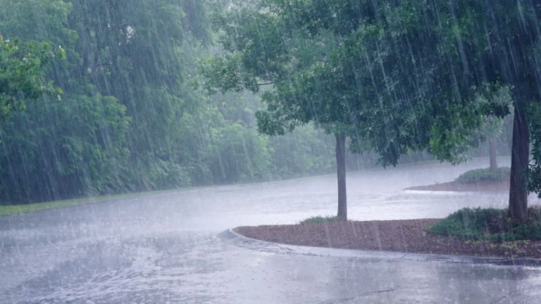 La lluvia caída es de 18.3mm