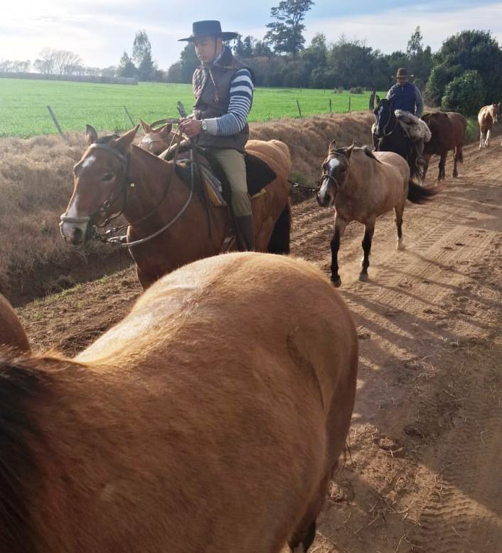 Fabián Tula: la peregrinación a caballo a San Nicolás fue un viaje de fe y tradición