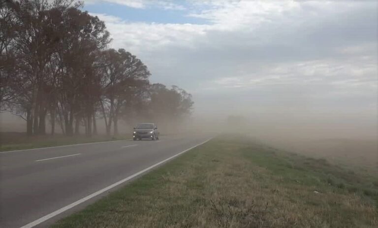 Alerta amarilla por viento en casi toda la Provincia de Buenos Aires