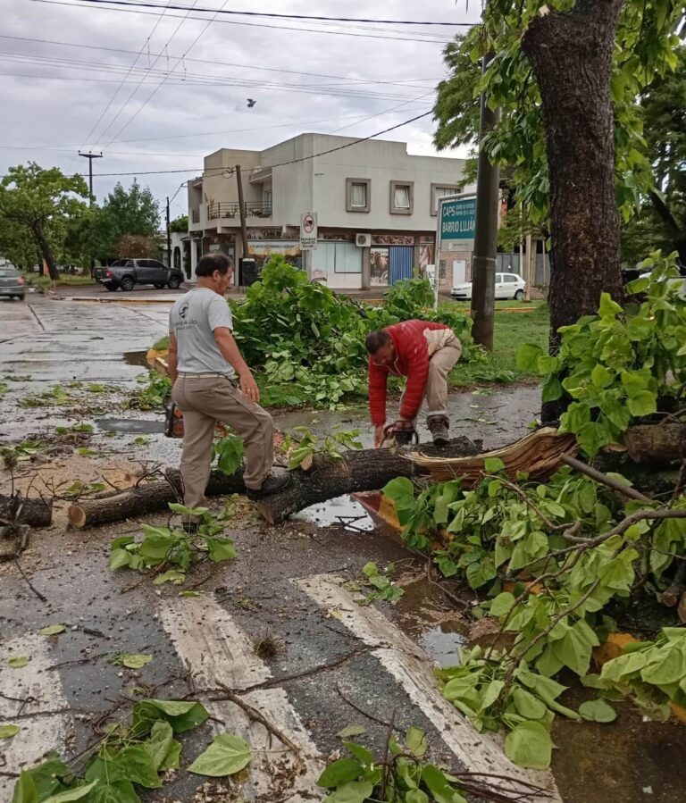 Labor del personal de Espacios Verdes para normalizar la ciudad